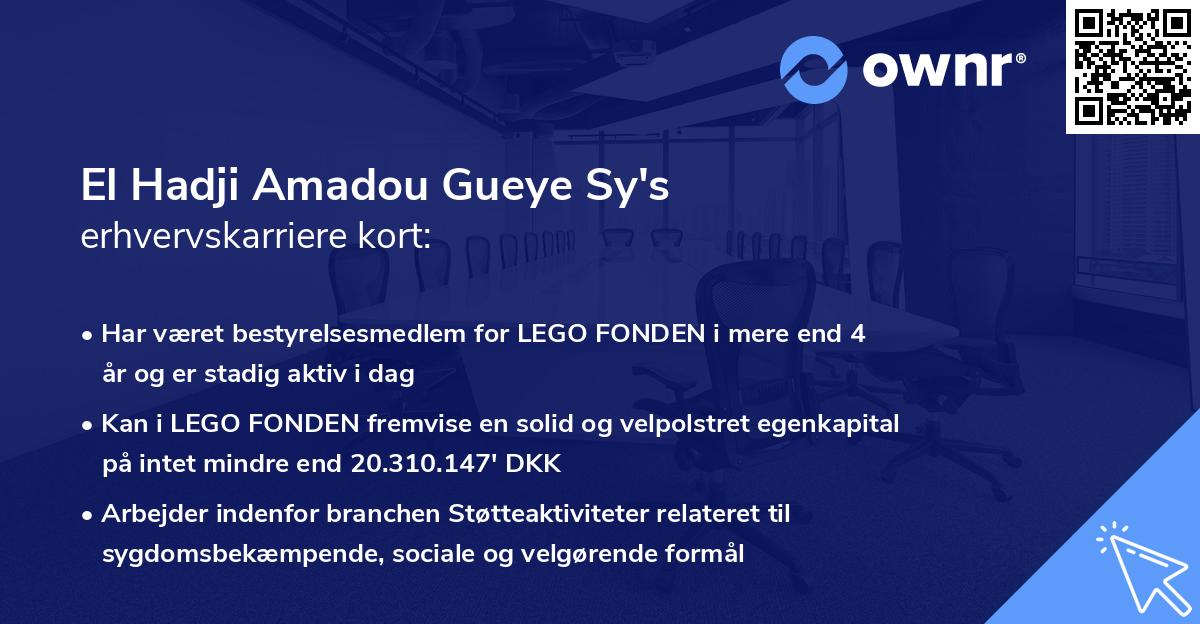 El Hadji Amadou Gueye Sy's erhvervskarriere kort