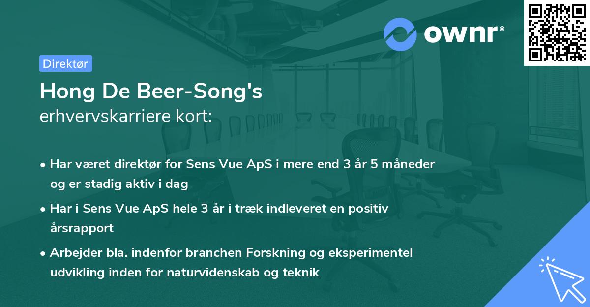 Hong De Beer-Song's erhvervskarriere kort
