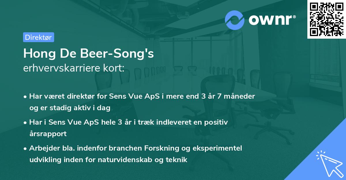 Hong De Beer-Song's erhvervskarriere kort