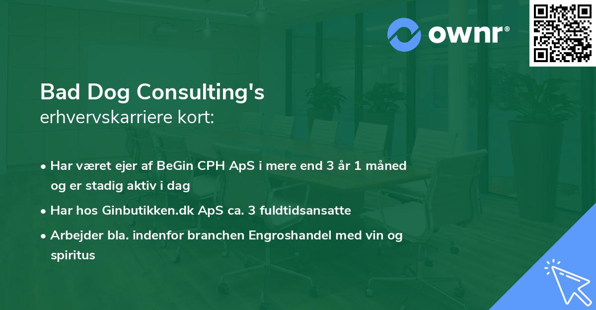 Bad Dog Consulting's erhvervskarriere kort