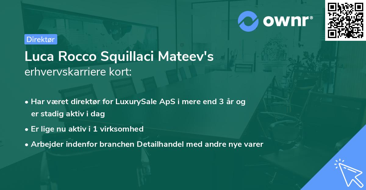 Luca Rocco Squillaci Mateev's erhvervskarriere kort