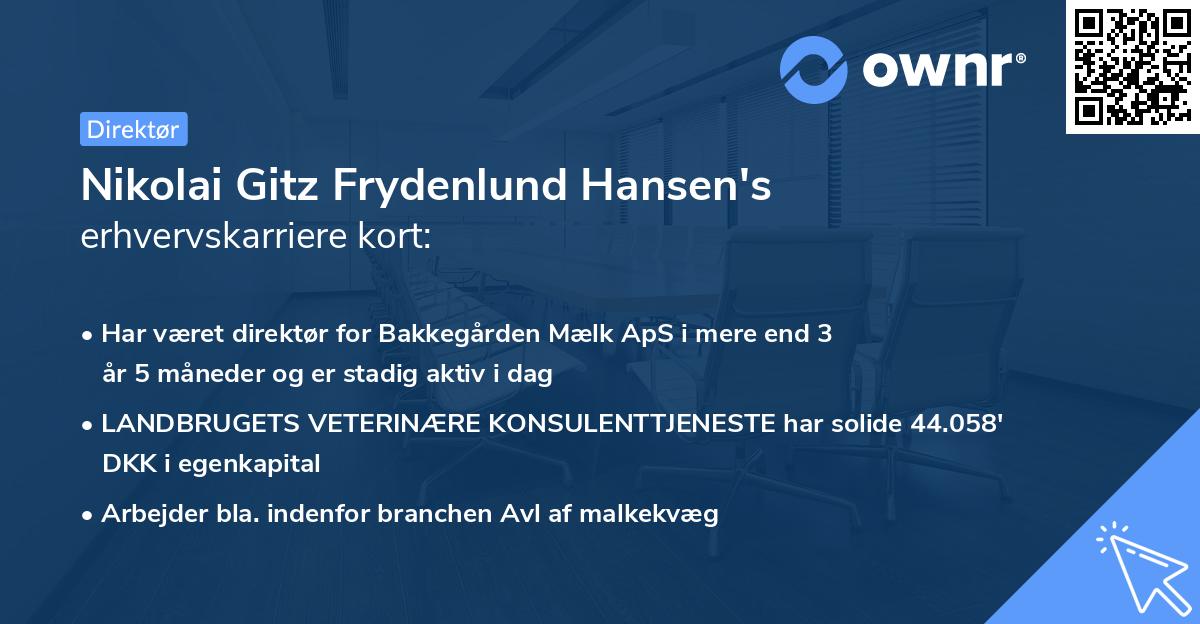 Nikolai Gitz Frydenlund Hansen's erhvervskarriere kort