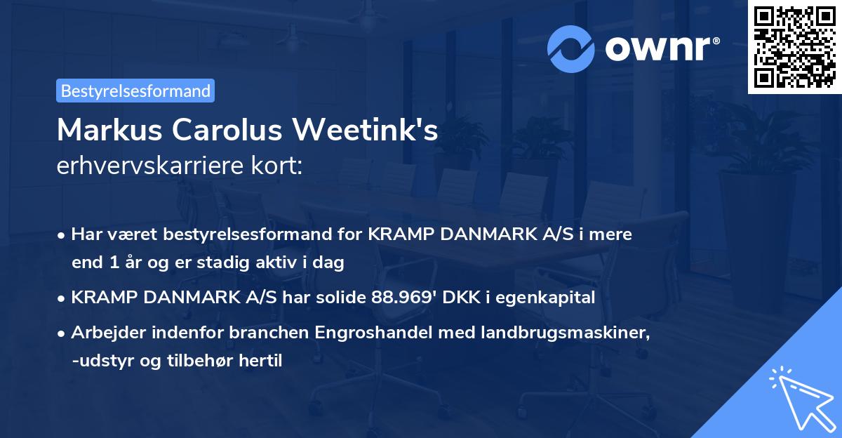 Markus Carolus Weetink's erhvervskarriere kort