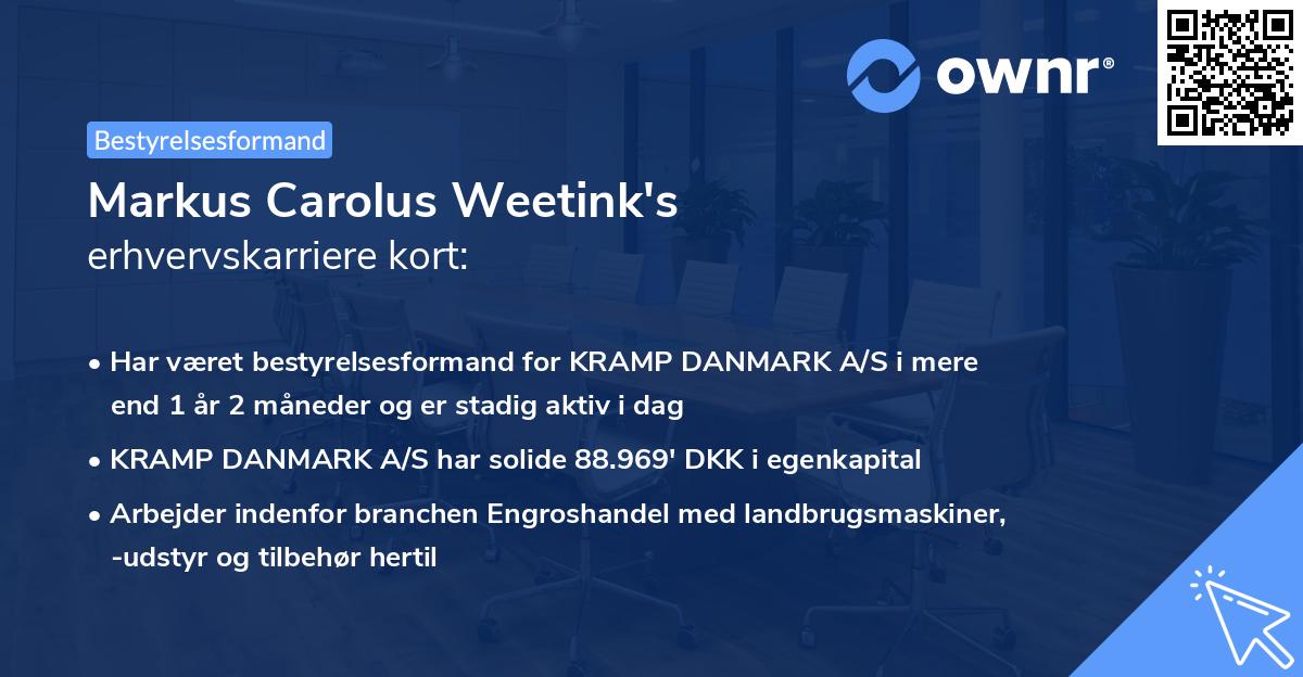 Markus Carolus Weetink's erhvervskarriere kort