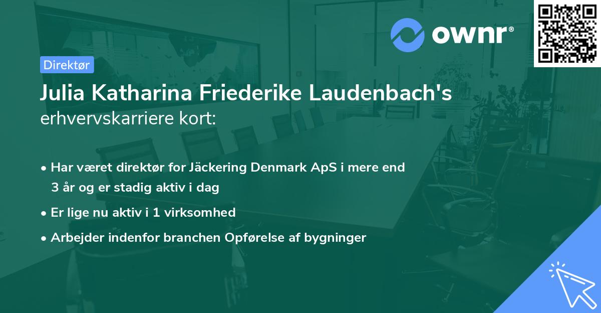 Julia Katharina Friederike Laudenbach's erhvervskarriere kort