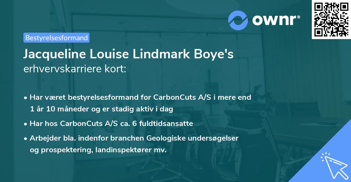 Jacqueline Louise Lindmark Boye's erhvervskarriere kort
