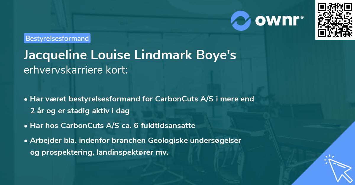 Jacqueline Louise Lindmark Boye's erhvervskarriere kort