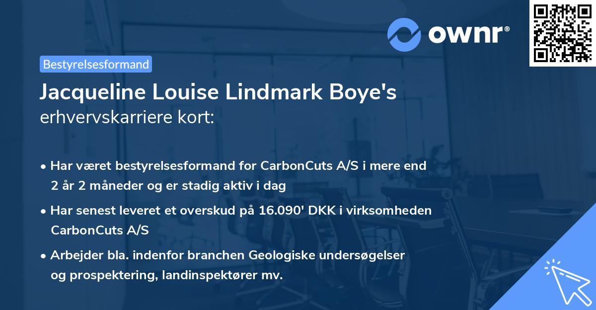 Jacqueline Louise Lindmark Boye's erhvervskarriere kort