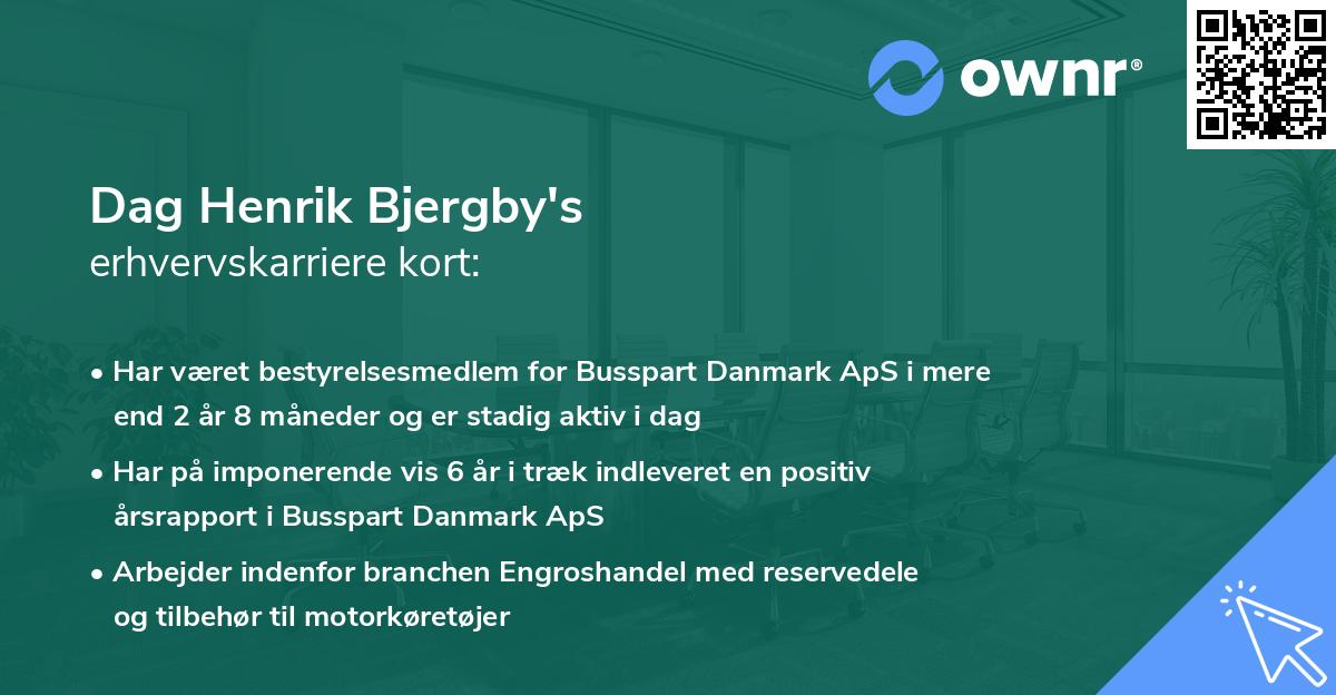 Dag Henrik Bjergby's erhvervskarriere kort