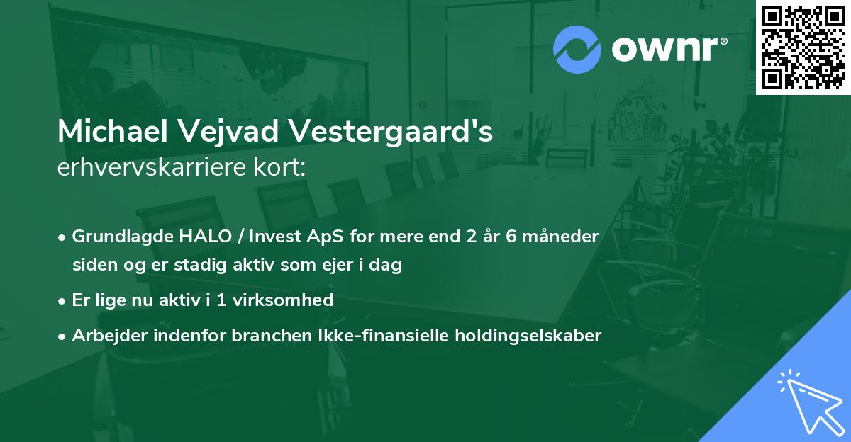 Michael Vejvad Vestergaard's erhvervskarriere kort