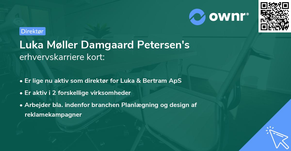 Luka Møller Damgaard Petersen's erhvervskarriere kort