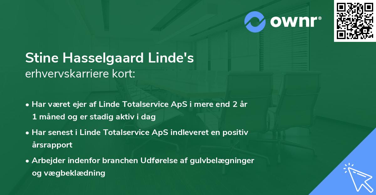 Stine Hasselgaard Linde's erhvervskarriere kort