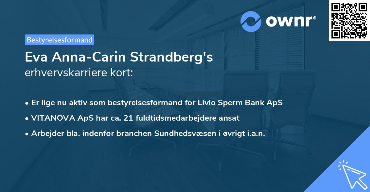 Eva Anna-Carin Strandberg's erhvervskarriere kort