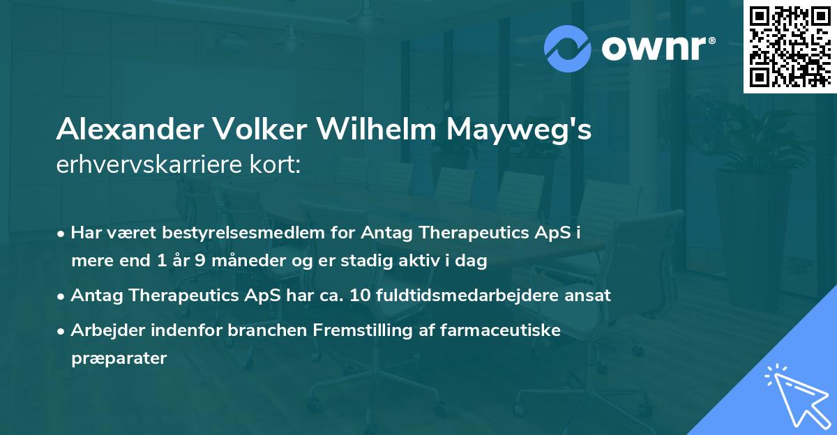 Alexander Volker Wilhelm Mayweg's erhvervskarriere kort