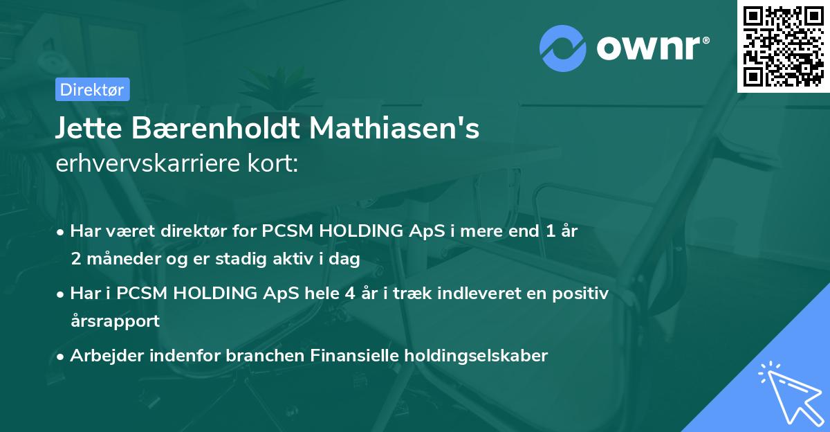 Jette Bærenholdt Mathiasen's erhvervskarriere kort