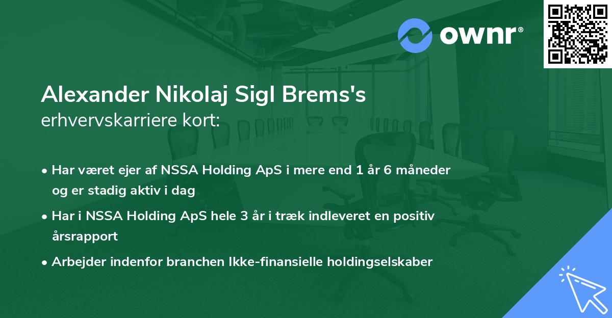Alexander Nikolaj Sigl Brems's erhvervskarriere kort