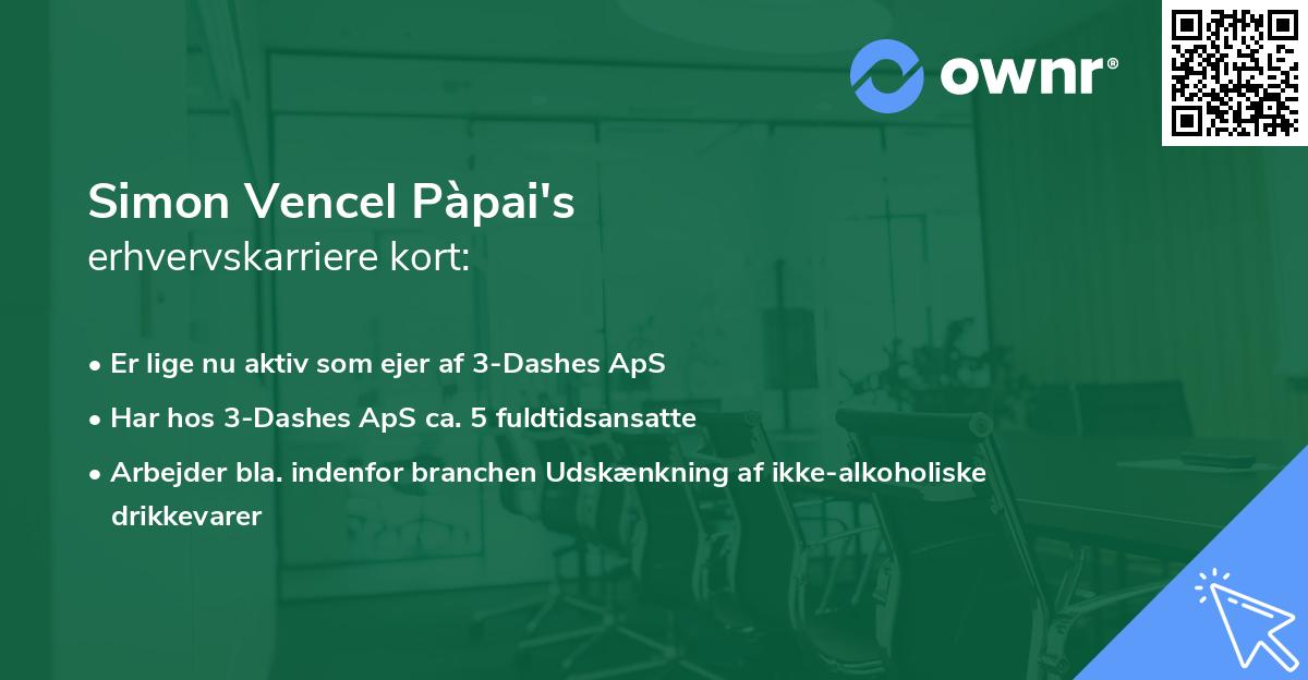 Simon Vencel Pàpai's erhvervskarriere kort
