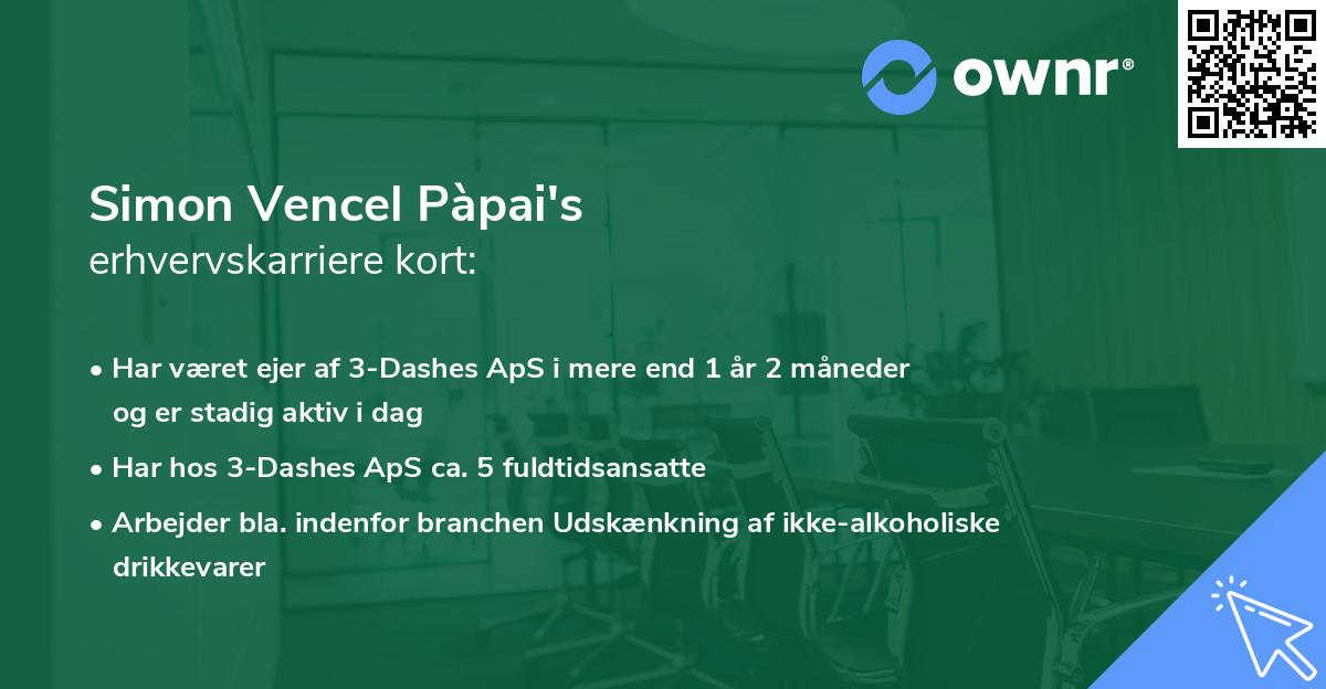 Simon Vencel Pàpai's erhvervskarriere kort
