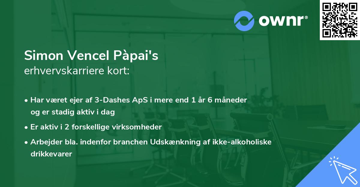 Simon Vencel Pàpai's erhvervskarriere kort