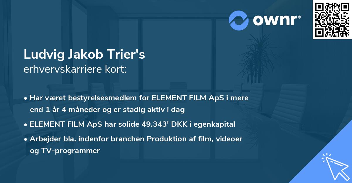 Ludvig Jakob Trier's erhvervskarriere kort