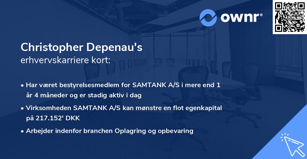 Christopher Depenau's erhvervskarriere kort