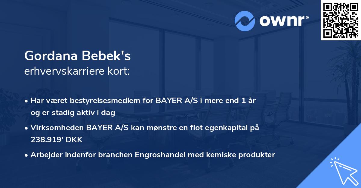 Gordana Bebek's erhvervskarriere kort
