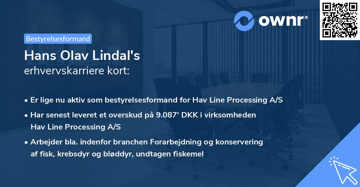 Hans Olav Lindal's erhvervskarriere kort