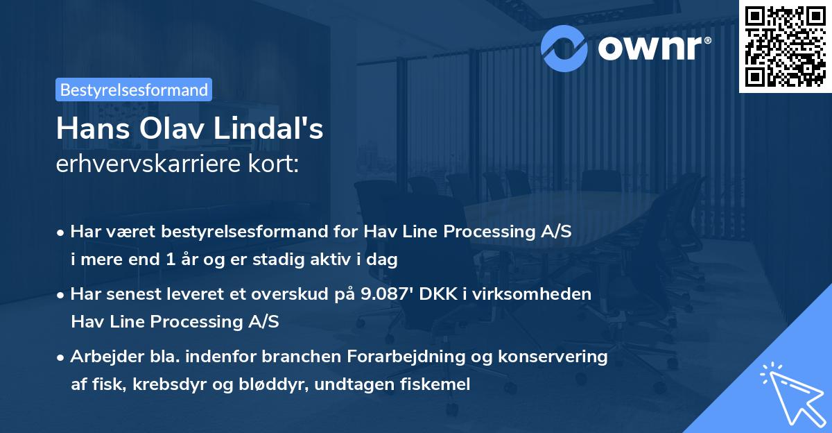 Hans Olav Lindal's erhvervskarriere kort