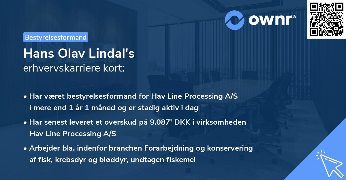 Hans Olav Lindal's erhvervskarriere kort