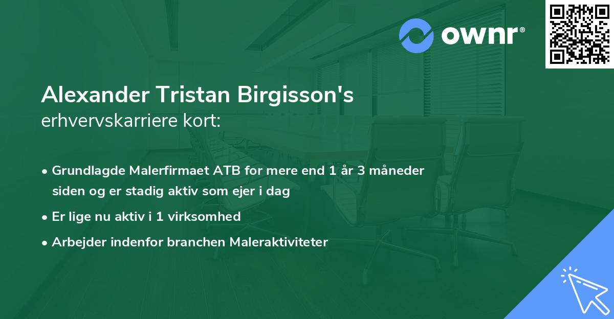 Alexander Tristan Birgisson's erhvervskarriere kort