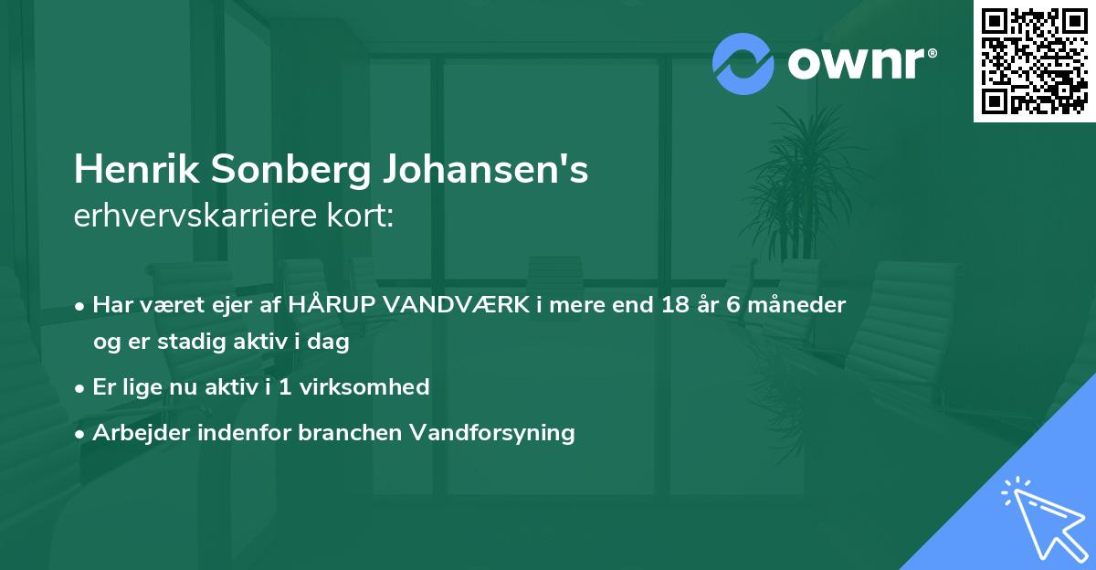 Henrik Sonberg Johansen's erhvervskarriere kort
