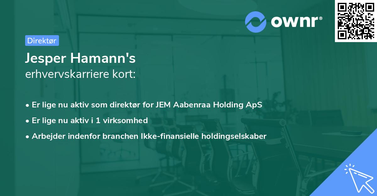 Jesper Hamann's erhvervskarriere kort