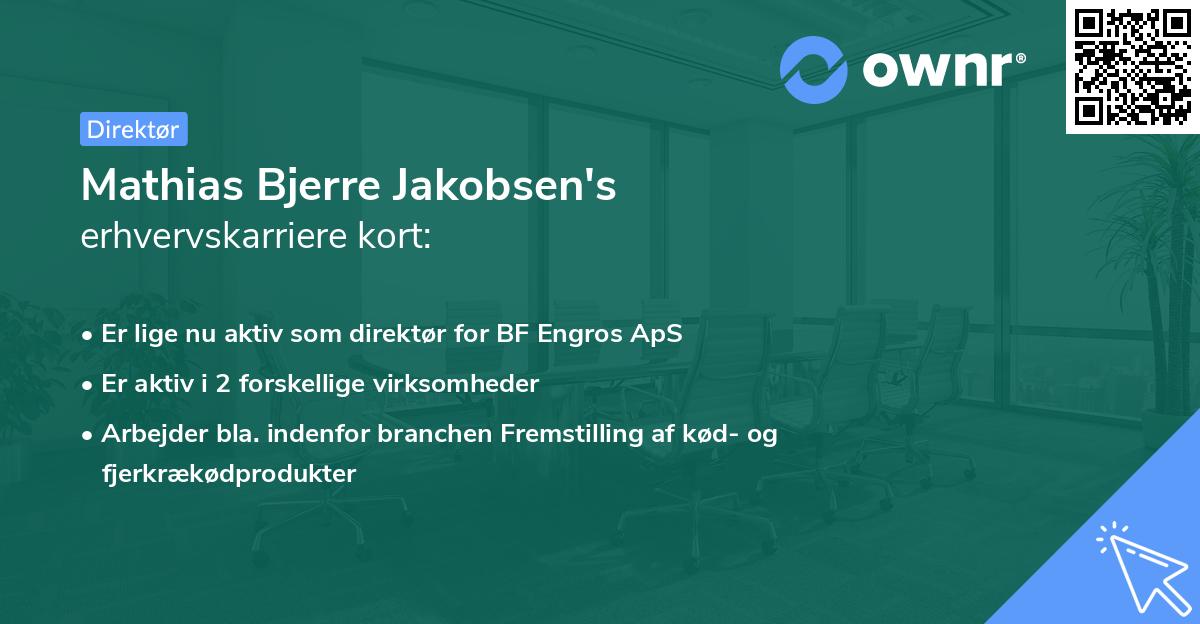 Mathias Bjerre Jakobsen's erhvervskarriere kort