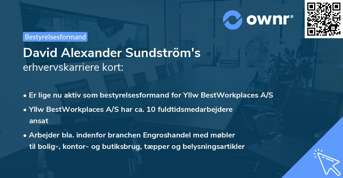David Alexander Sundström's erhvervskarriere kort