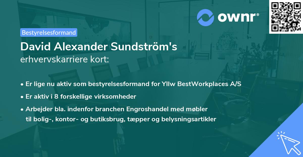David Alexander Sundström's erhvervskarriere kort