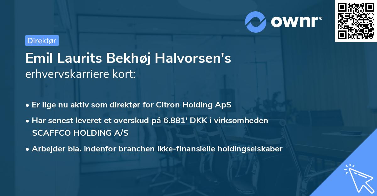 Emil Laurits Bekhøj Halvorsen's erhvervskarriere kort