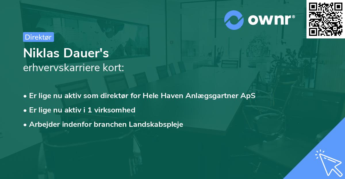 Niklas Dauer's erhvervskarriere kort