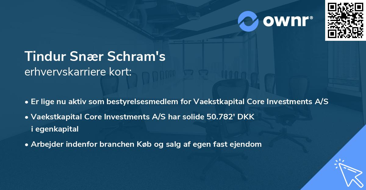Tindur Snær Schram's erhvervskarriere kort