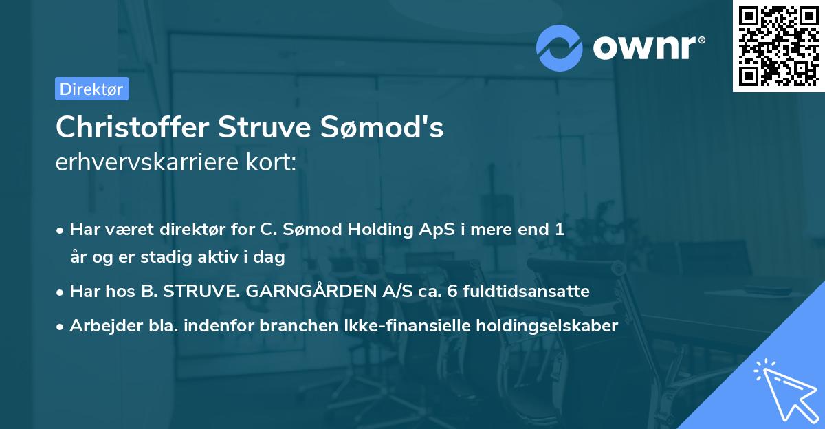Christoffer Struve Sømod's erhvervskarriere kort