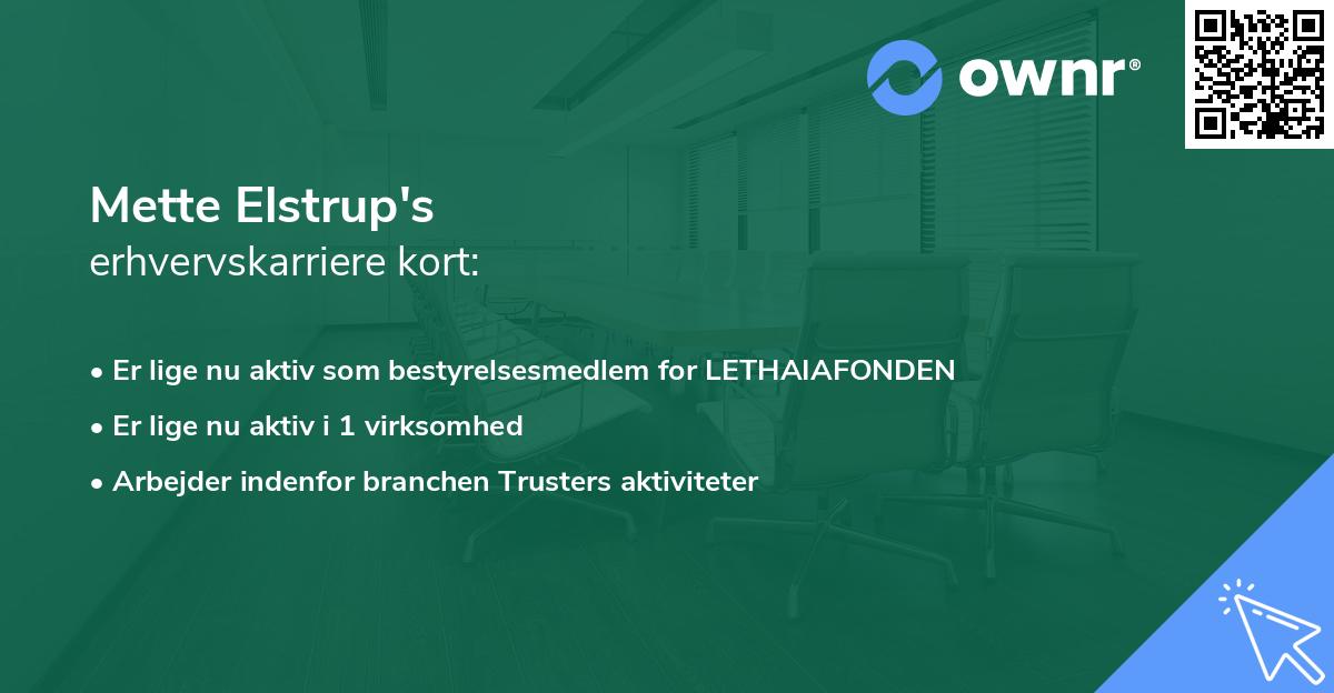 Mette Elstrup's erhvervskarriere kort