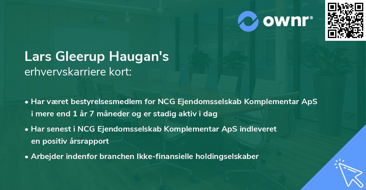 Lars Gleerup Haugan's erhvervskarriere kort