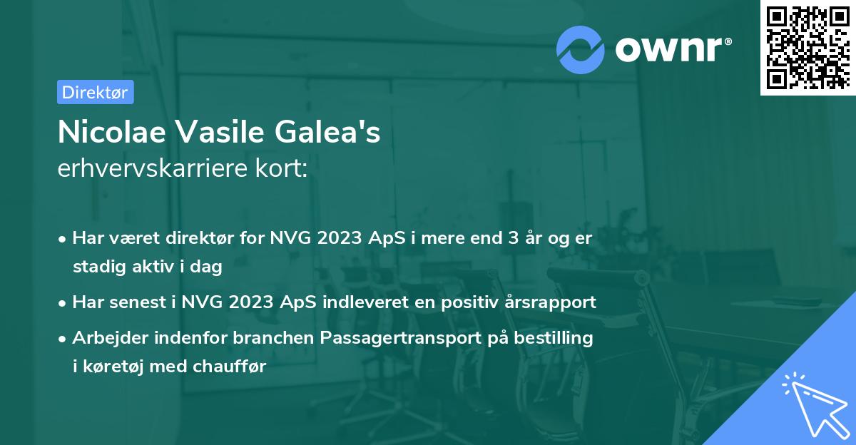 Nicolae Vasile Galea's erhvervskarriere kort