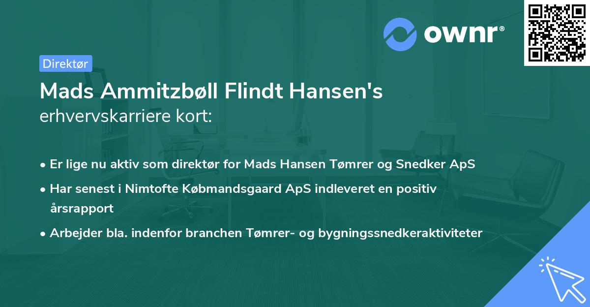 Mads Ammitzbøll Flindt Hansen's erhvervskarriere kort