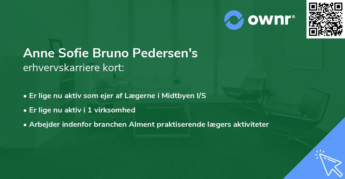 Anne Sofie Bruno Pedersen's erhvervskarriere kort