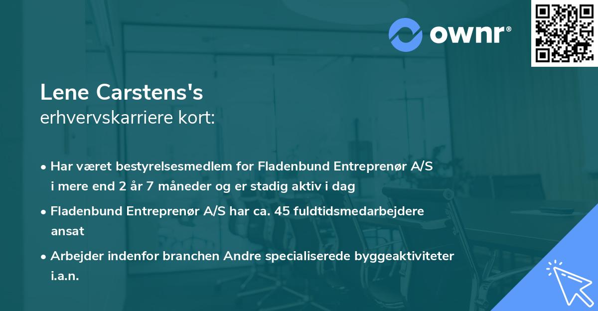 Lene Carstens's erhvervskarriere kort