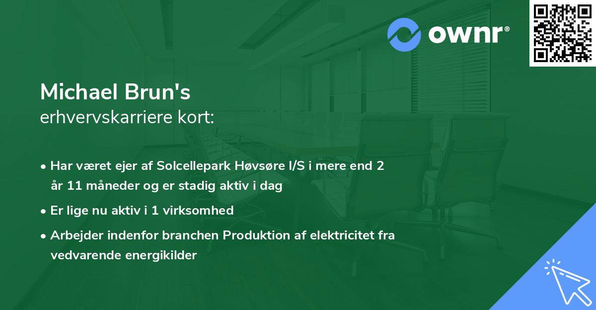 Michael Brun's erhvervskarriere kort