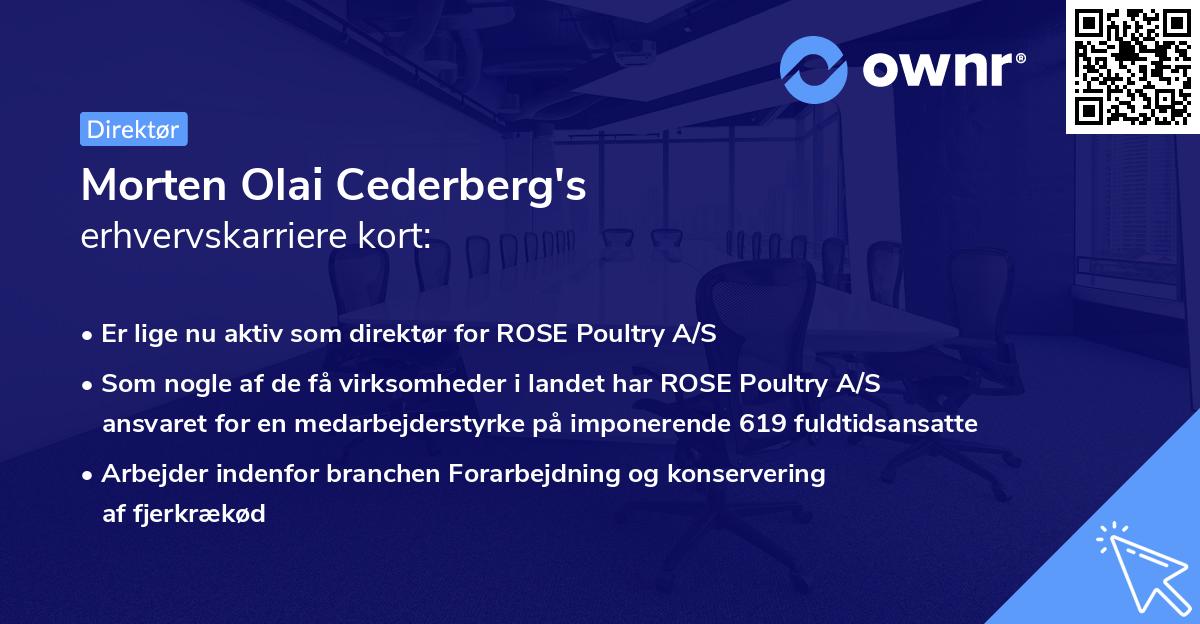 Morten Olai Cederberg's erhvervskarriere kort