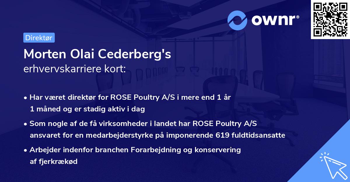 Morten Olai Cederberg's erhvervskarriere kort