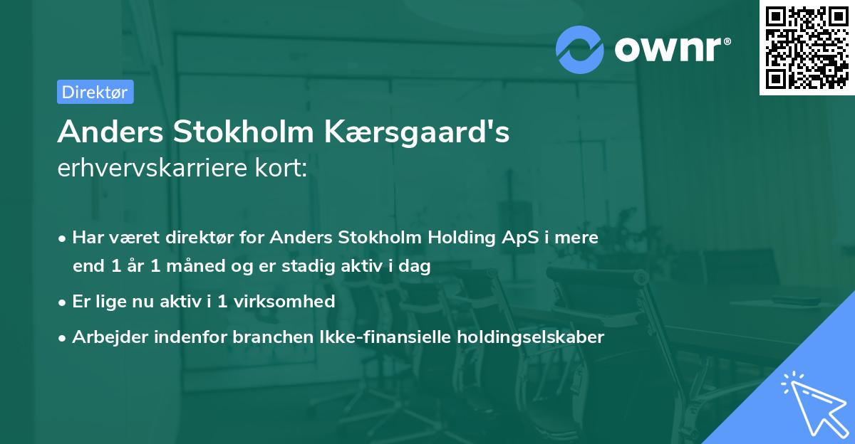 Anders Stokholm Kærsgaard's erhvervskarriere kort