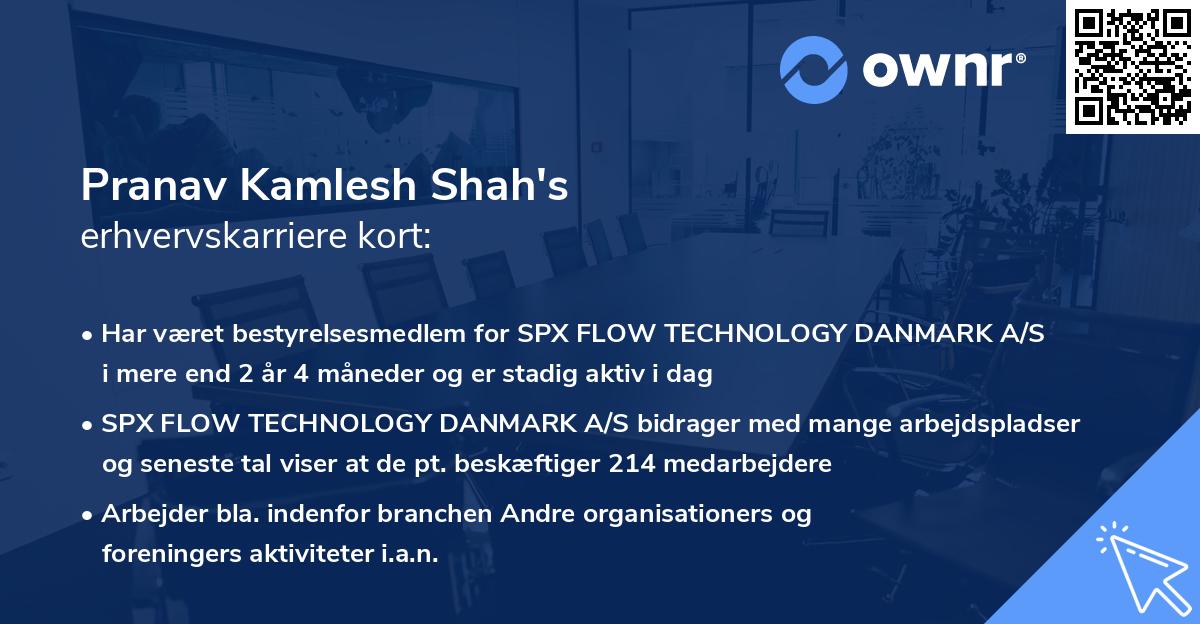 Pranav Kamlesh Shah's erhvervskarriere kort